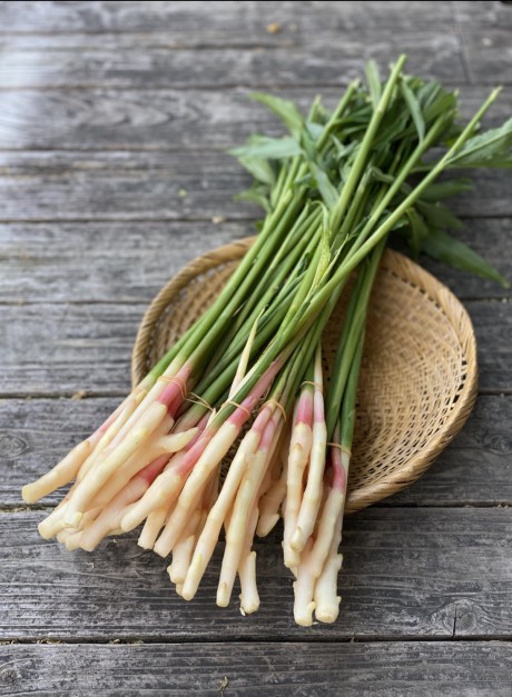 生姜・葉生姜・新生姜・旬野菜
