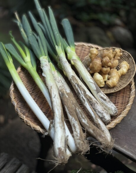 葱・生姜・井澤由美子・きょうの料理・食養生・薬膳・温活・体を温める・井澤由美子・体質改善